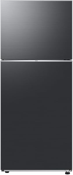 Geladeira Evolution Samsung RT38